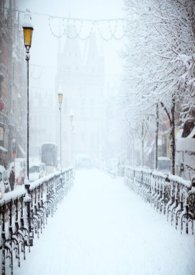 融雪剂属于什么大类
