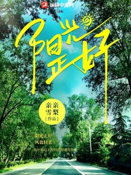 阳光正好苏玥加料版txt下载